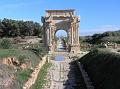 Libia web (35)